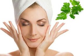 El cilantro se usa para rejuvenecer la piel alrededor de los ojos. 